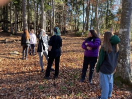 93398491-7f0e-4dba-afc8-5f802cb97420 (1).jpg